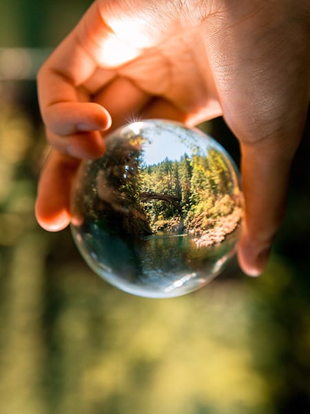 Auditorias de Ambiente, Qualidade e Segurança